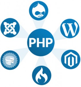 programavimas php drupal wordpress